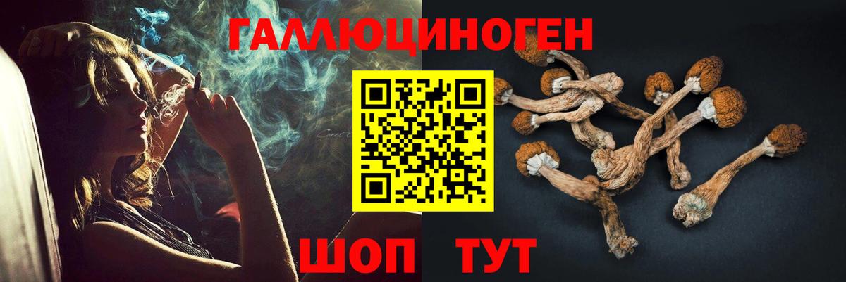 Псилоцибиновые грибы мухоморы Тайшет