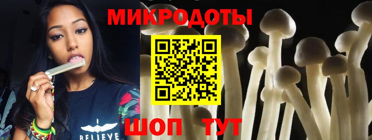 Тайшет  Галлюциногенные грибы Psilocybe  Вход с VPN 